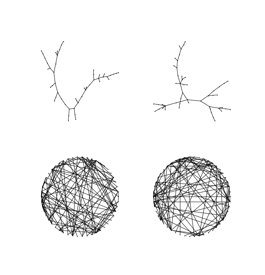Randomly generated graphs